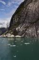 036 Tracy Arm